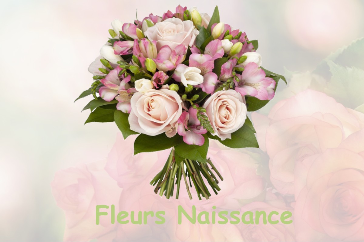 fleurs naissance ERCEVILLE