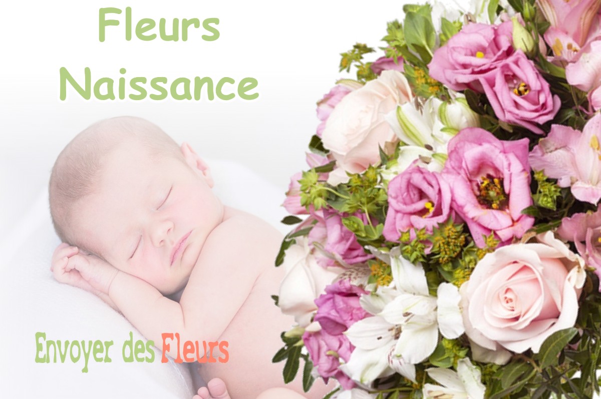 lIVRAISON FLEURS NAISSANCE à ERCEVILLE